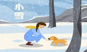 安氏亞森板材：小雪丨花開天下暖，葉落天下寒